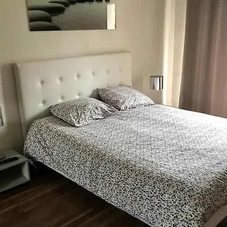 Апартаменты Le Cocon De Celine-luxe-centre Ville-parc Leo Lagrange-stade Auguste Delaune- Wifi *